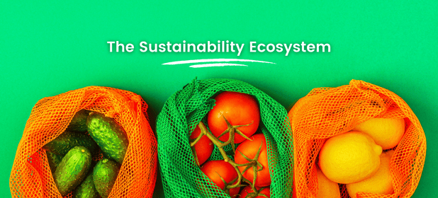 The Sustainability Ecosystem